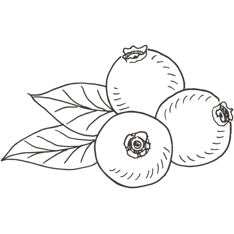 F&G Nordic Masculinity Lip & Nose Balm